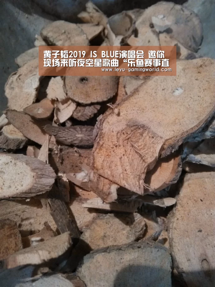 乐鱼电竞赛事