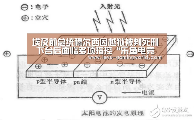 乐鱼电竞直播