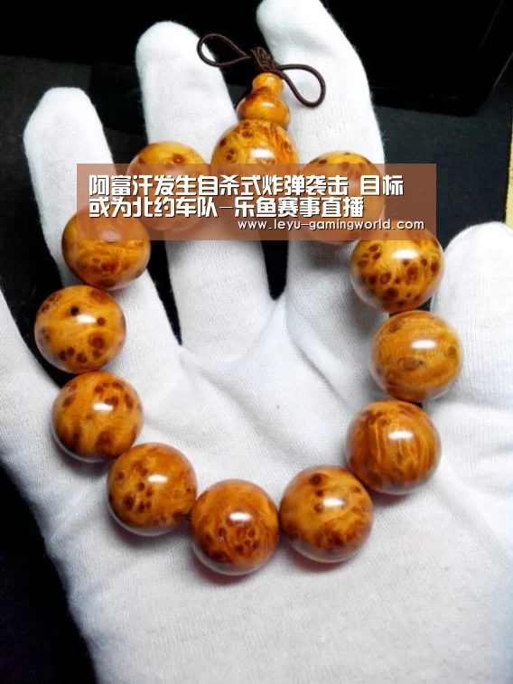 乐鱼电竞赛事