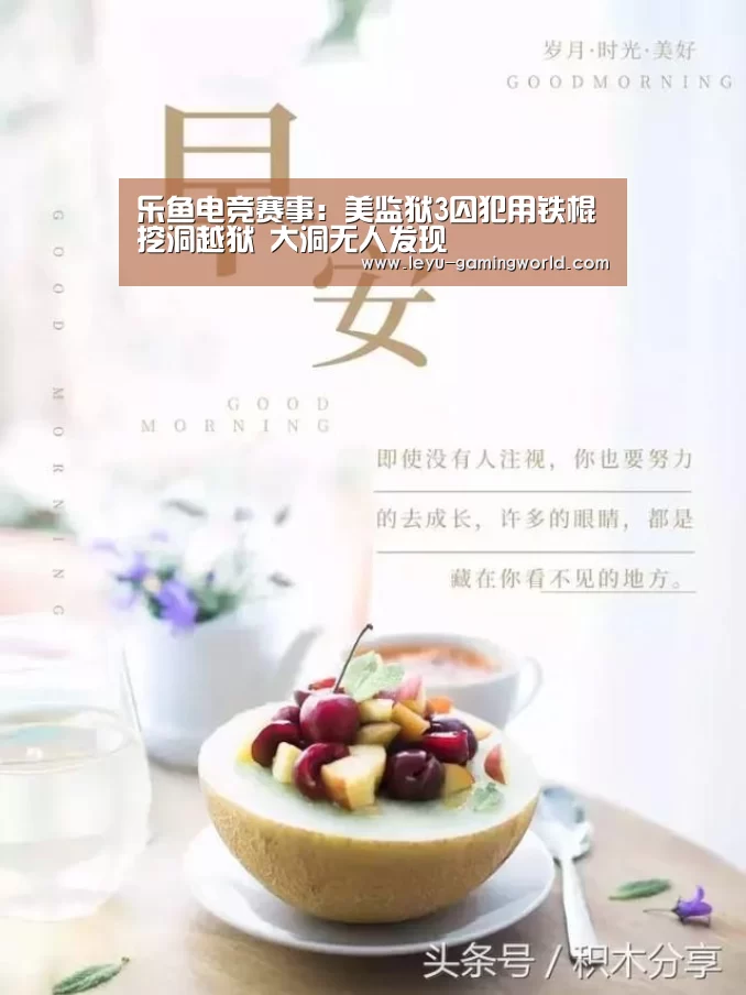 乐鱼电竞赛事